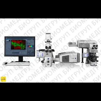 Микроскоп конфокальный LSM 710, лазерный сканирующий, Zeiss, LSM710