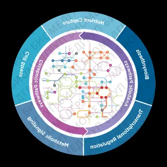 Панель nCounter Metabolic Pathways
