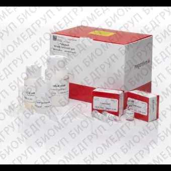 Набор PureLink Viral RNA/DNA Mini Kit, Thermo FS, Thermo FS, 12280050, 50 выделений