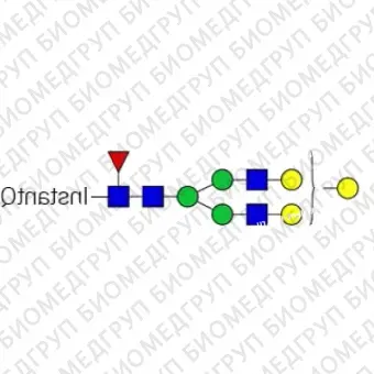 Стандарт Nгликана AdvanceBio InstantQ G2FGa1 / FA2G2Ga31 ранее ProZyme. Nгликан асиало, галактозилированный двухантенный комплекс с 1 13 галактозой и основной фукозой, меченный InstantQ, для использования в качестве качественного стандарта с