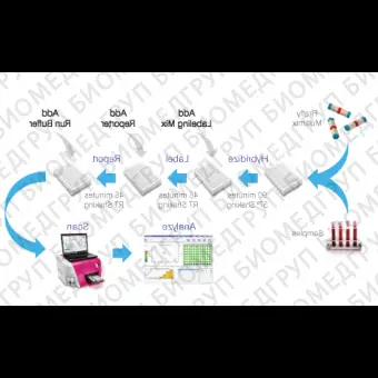 Панель для профилирования миРНК, Multiplex miRNA Assay Neurology Panel  Circulating, Abcam, ab204066, 96 тестов