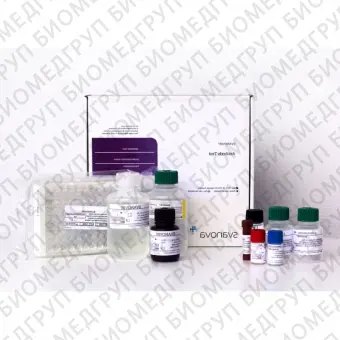 Набор реагентов SVANOVIR BLV gp51Ab Confirmation для обнаружения антител к лейкозу КРС методом ИФА цельные планшеты10 планшетов