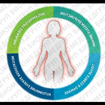 Панель Autoimmune Profiling