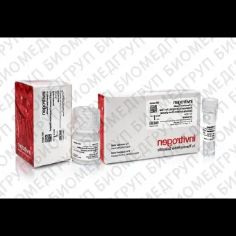 Набор для выделения экзосом Total Exosome Isolation Kit из плазмы, Thermo FS, 4484450, 6 мл