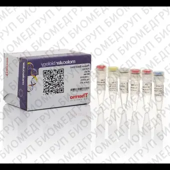 Набор для проведения прямой ПЦР Phusion Blood Direct PCR Kit из цельной крови без предварительного выделения ДНК, Thermo FS, F547L, 500 реакций