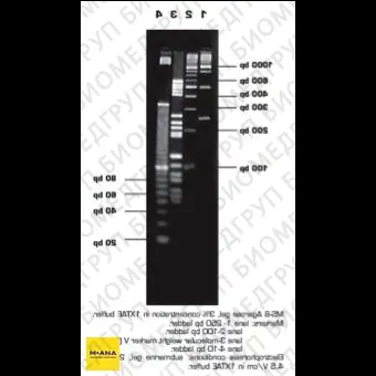 Агароза, низкий EEO, MS8, Molecular Screening, повышенная четкость разделения фрагментов менее 1200 п.н., Импорт, 1931.0500, 500 г