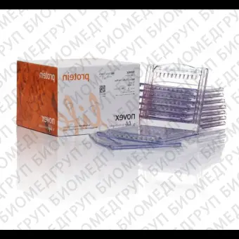 Гель полиакриламидный Bolt BisTris Mini Protein Gel, 8 х 8 см, 10 лунок, 12, Thermo FS, NW00120BOX, 10 шт./уп.