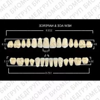 Гарнитуры пластмассовых зубов TL7 M36, цвет A3, 28 шт.