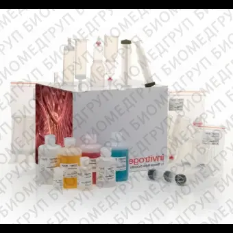 Набор PureLink Fast LowEndotoxin Maxi Plasmid Purification Kit, Thermo FS, A36228, 20 выделений