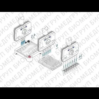 Автоматическая пипетка электронная 501200 мкл,  8канальная, с переменным расстоянием между наконечниками Xplorer plus Move It, Eppendorf, 4861000835