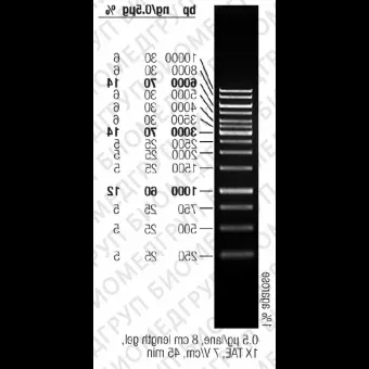 Маркер длин ДНК GeneRuler 1 kb, 14 фрагментов от 250 до 10000 п.н., готовый к применению, 0,5 мкг/мкл, Thermo FS, SM0314, 50 мкг