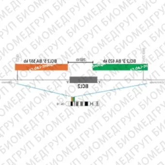 ДЛЯ КЛИЕНТОВ из США. SureFISH BCL2 BA P20. BCL2, Break Apart, 20 тестов, FITCCy3, концентрат, ручное использование