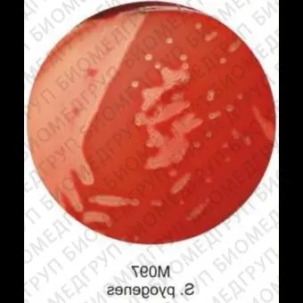 Основа триптозного кровяного агара, 500 г ФСЗ 2009/03707