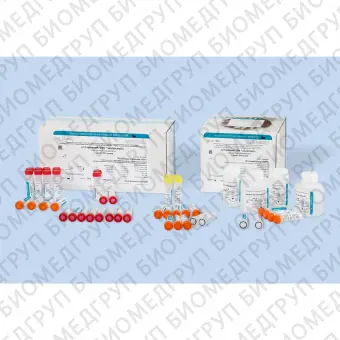 Набор АмплиСенс HBVМониторFL для количественонго определения. Нераскапанный, FRT 100F
