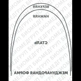 Дуги ортодонтические международная форма нижние INT Niti TA L .016/.41