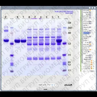 Система управления для передачи данных Arxspan Assay