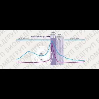 Экспресстест на овуляцию Advanced Digital Ovulation Test