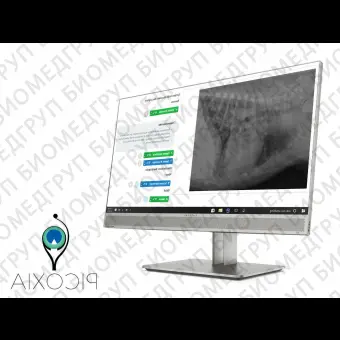 Ветеринарная рентгенографическая система VETTECH DR4343