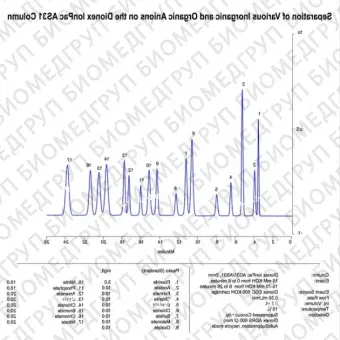 Dionex IonPac AS31 Analytical and Guard Columns