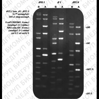 Реактив агарозный гель HyAgarose LE Agarose