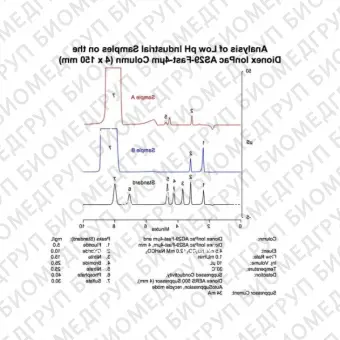 Dionex IonPac AS29Fast4m Analytical and Guard IC Columns