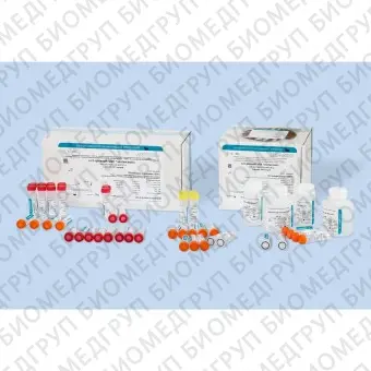 Набор АмплиСенс HBVМониторFL для количественонго определения. Нераскапанный, FRT 100F