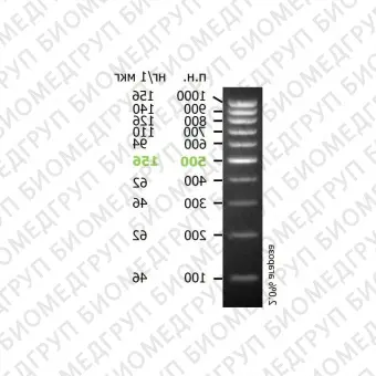 Маркеры длины ДНК Step 100 10 фрагментов от 100 до 1000 п.н.50 мкг 100 применений