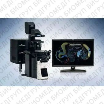 Микроскоп конфокальный с лазерным сканером FV3000