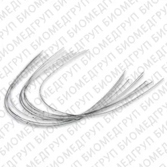 Дуги ортодонтические международная форма Нержавеющая сталь для нижней челюсти SS L .021x.025/.53x.64