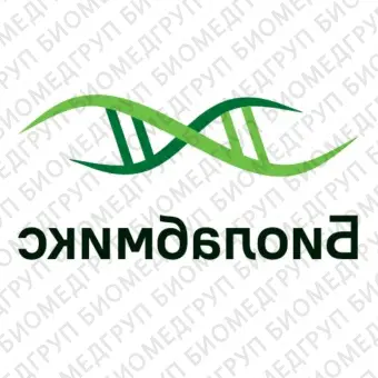 2Х смесь БиоМастер HSqPCR LoROX для проведения количественной ПЦР в реальном времени с красителем ROX2 040 реакций