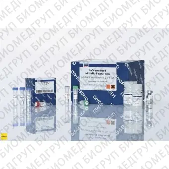 Набор FastLane Cell Probe Kit 200, Qiagen, 216413, 200 реакций