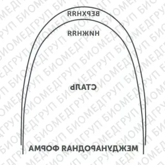 Дуги ортодонтические международная форма нижние БетаТитан INT BT L .016x.022/.41x.56