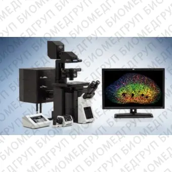 Микроскоп конфокальный с лазерным сканером FV3000