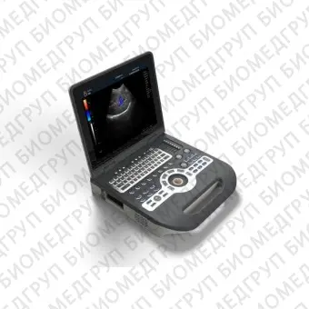 Переносной ультразвуковой сканер XF3700