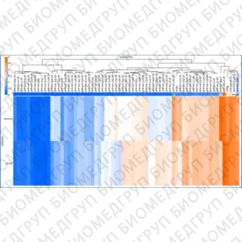 Панель для профилирования миРНК, Multiplex miRNA Assay Core Reagent Kit  Circulating crude biofluid, Abcam, ab203184, 96 тестов