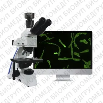 Источник света для микроскопов MFLED Series