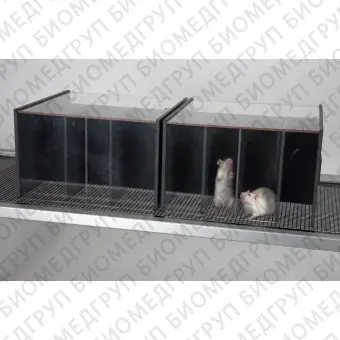 Клетка для исследований на животных для мелких грызунов BIOCAGEPVF