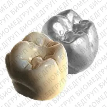 Программное обеспечение для стоматологии exocad