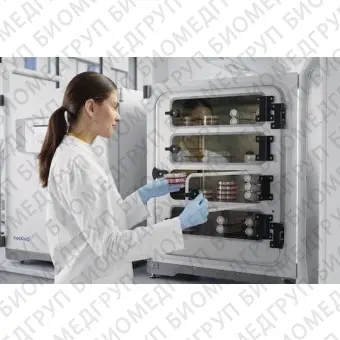 Лабораторный инкубатор клеточной культуры CellXpert C170i