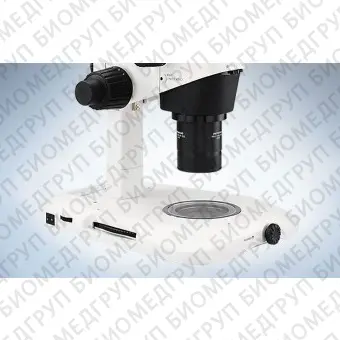 Цифровой стереомикроскоп SZX10