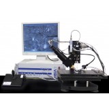 Микроскоп электрохимическое сканирование ELP 1