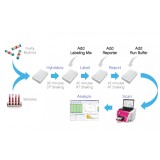 Панель для профилирования ми-РНК, Multiplex miRNA Assay Liver Tox Panel - Circulating, Abcam, ab204065, 96 тестов