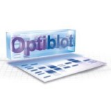 Гель полиакриламидный готовый, Optiblot SDS Gel 10% (10x10 см), 12 лунок, Abcam, ab119202, 10 шт/уп