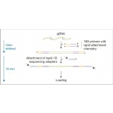 Набор для секвенирования гена 16S-РНК, 16S Barcoding Kit, Oxford Nanopore Technologies, SQK-RAB204