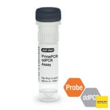 Набор ERBB2 CNV PrimePCR ddPCR, 200 реакций, Bio-Rad, 1863306