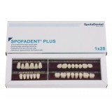 Spofadent Plus (D2) 1/22-0/0-1/72