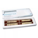 Spofadent Plus (В1) 1/35-0/5-1/65