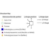 Стандарт N-гликанов AdvanceBio InstantPC G1FS1 α(2,6) / FA2G1S(6)1 (ранее ProZyme)