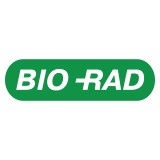 Реактив TidyBlot, конъюгированный с пероксидазой хрена (HRP), эксклюзивно связывается с нативными первичными антителами IgG, Bio-Rad(500 мкл)