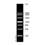 Маркеры длины фрагментов ДНК GelPilot Wide Range Ladder (100)(35 мкг (100 применений))